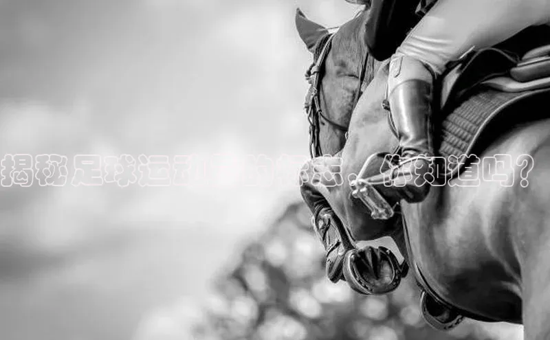 新宝GG手机版百度安全社区揭秘足球运动员的标志，你知道吗？