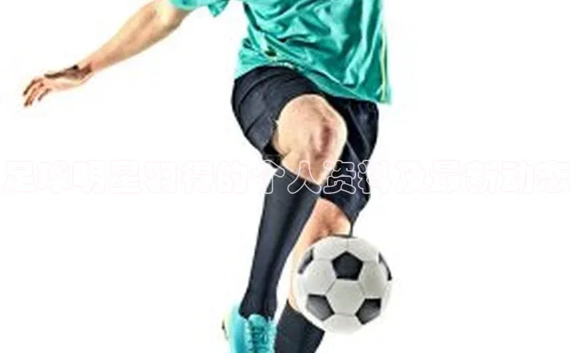 新宝gg平台注册官网百度大脑足球明星羽得的个人资料及最新动态