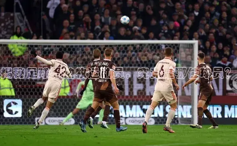 新宝gg创造奇迹官方登录入口赛富乐斯揭秘足球界边牧运动员，究竟是哪位球员？