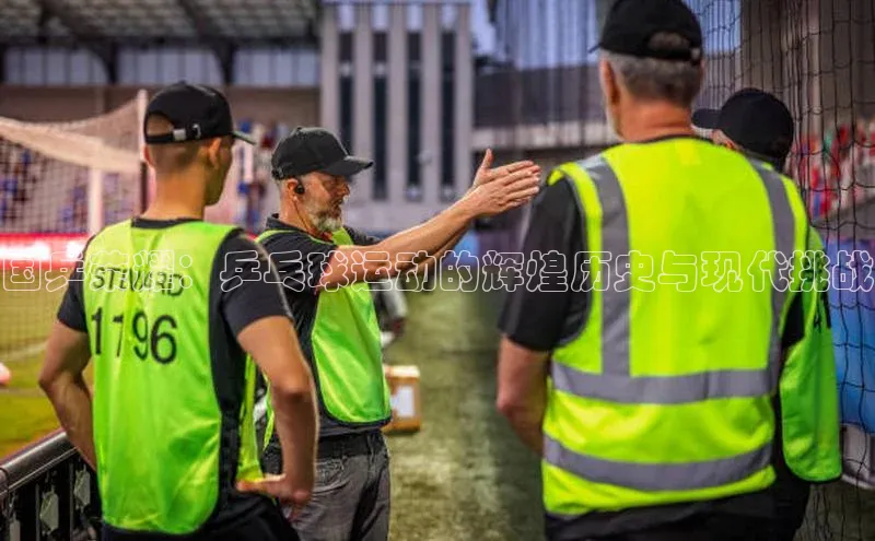 新宝gg创造奇迹登录注册玩法携程国乒荣耀：乒乓球运动的辉煌历史与现代挑战