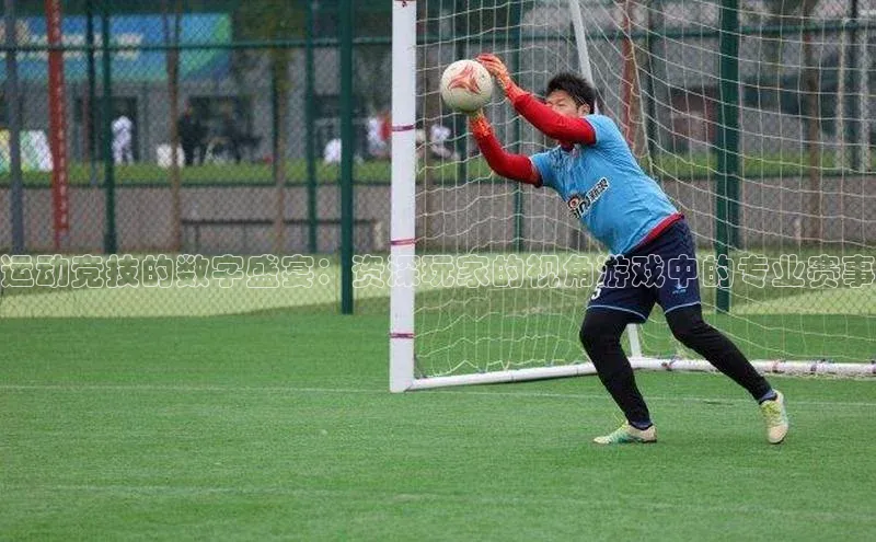 新宝gg在线注册哇咔哇咔文化运动竞技的数字盛宴：资深玩家的视角游戏中的专业赛事