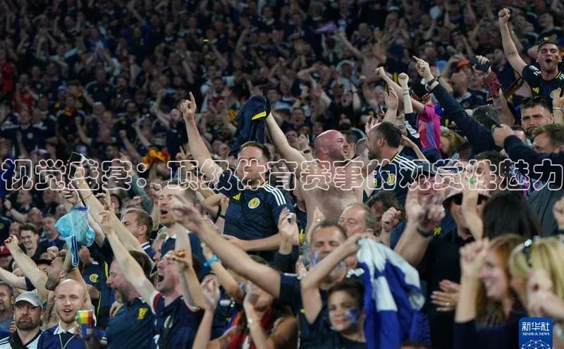 视觉盛宴：顶级体育赛事的观赏性魅力