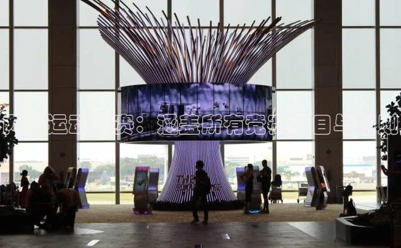 网络运动比赛：涵盖所有竞赛项目与规则