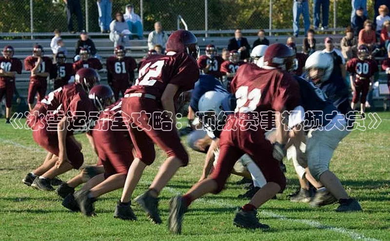 《冰雪运动全攻略：顶级赛事视频大赏》