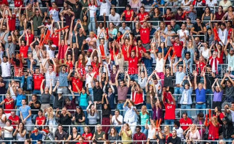 激情与速度：以马拉松为主题的新赛事活动规划与建议