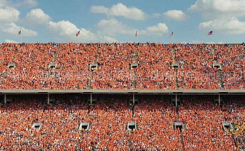 全球个人运动赛事影响力排行榜：体育精神的力量与魅力