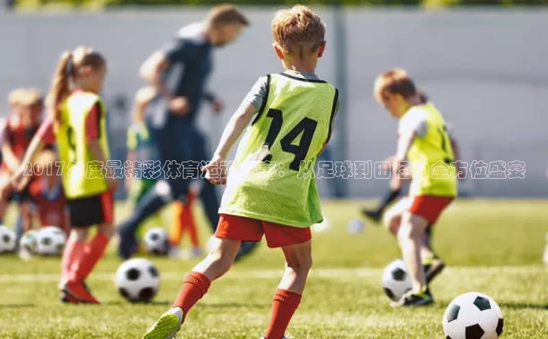 2017年度最精彩体育运动赛事：从足球到田径的全方位盛宴