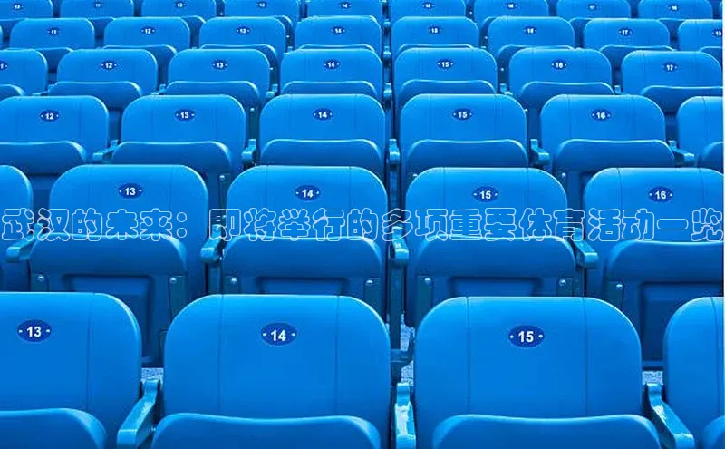 武汉的未来：即将举行的多项重要体育活动一览