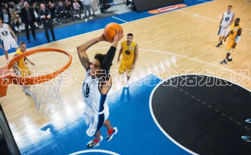 乐陵盛会：运动赛事的活力展现