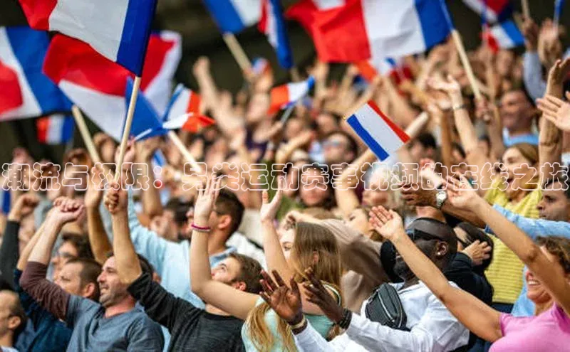 潮流与极限：另类运动赛事视频的在线之旅