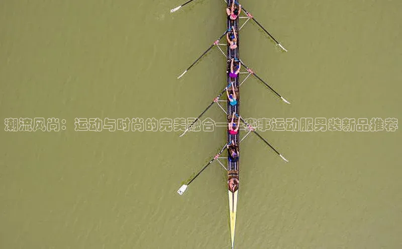 新宝登录app入口手机版