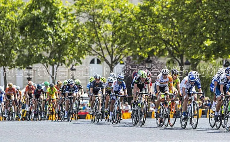 新宝gg一键登录