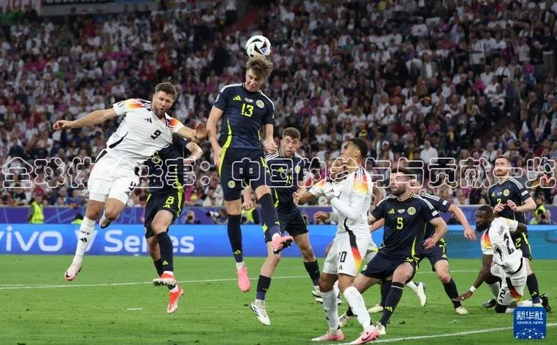 新宝登录app入口手机版