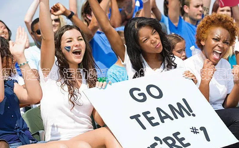 绿茵之巅：运动赛事中心的创新与未来展望