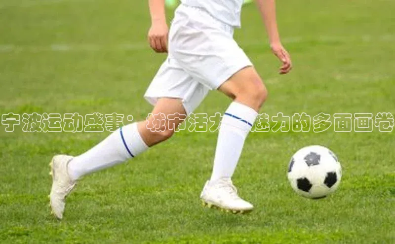 新宝gg平台注册官网