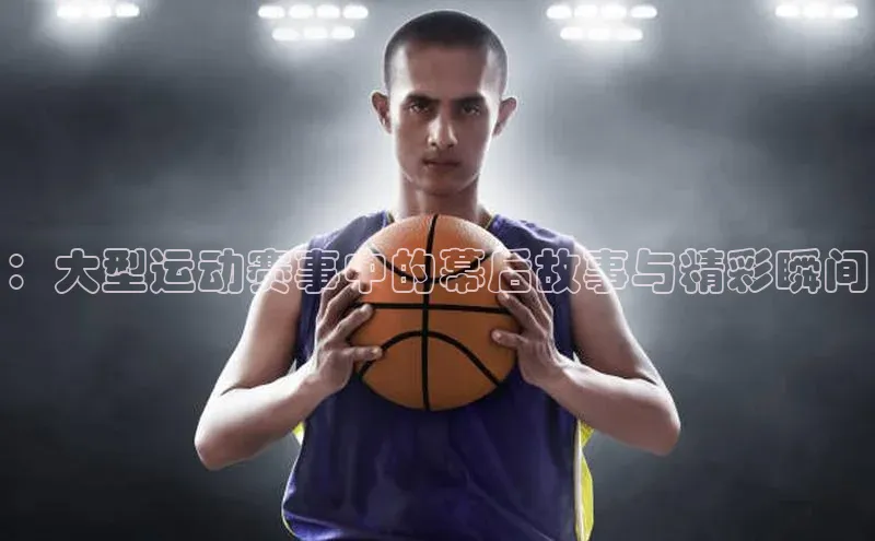 新宝网站登录入口