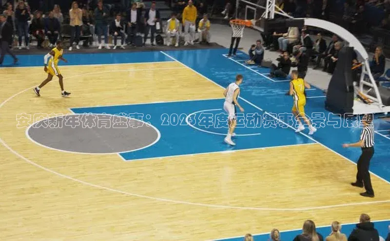 安庆新年体育盛事：2023年度运动赛事全景与展望