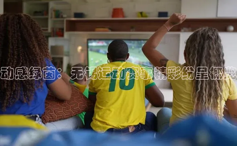 新宝gg平台注册官网