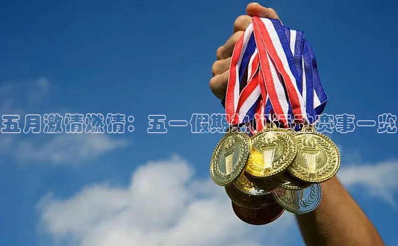 新宝网站登录入口