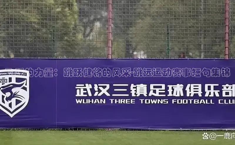 飞跃的力量：跳跃健将的风采-跳远运动赛事短句集锦
